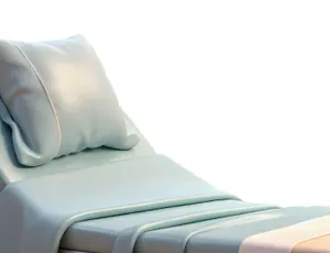 Cama Eléctrica de Hospital (3 Posiciones)