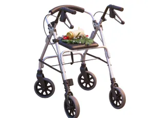 Scooter Andadera Con Canastilla