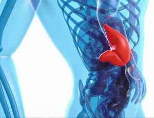 Perfil Hepático Completo